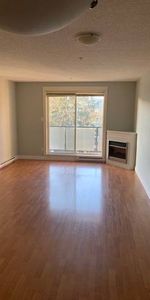 1 bedroom in great central Langford location - Photo 3