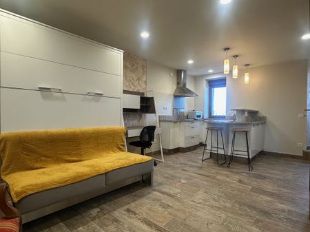 Location Appartement 1 pièce 26m² DARDILLY 69570 - Photo 2