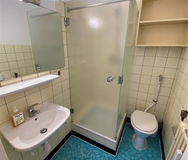 Location Appartement 1 pièce 25m² - Photo 3