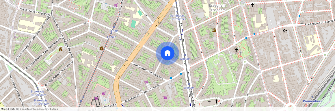 Rue Ferdinand Lenoir, 89, 1090, Jette
