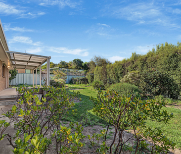 Bright & Modern Living in West Albury - Photo 2