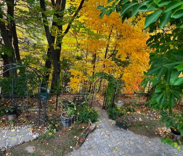 For Lease - 3441 Sanderling Crescent Unit# Bsmt #1, Mississauga, On... - Photo 4