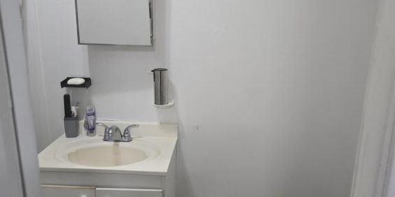 Grand 3 1/2 Plateau Mont-Royal Sous-sol - Photo 3