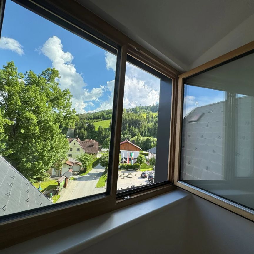 Barrierefreie Erstbezugswohnung- Penthaus - Foto 1