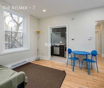 3477 Rue Aylmer - 7 - Photo 4