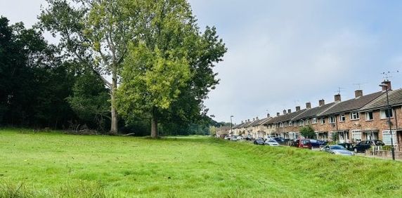 Tilgate 0 bedroom house share to rent - Photo 2