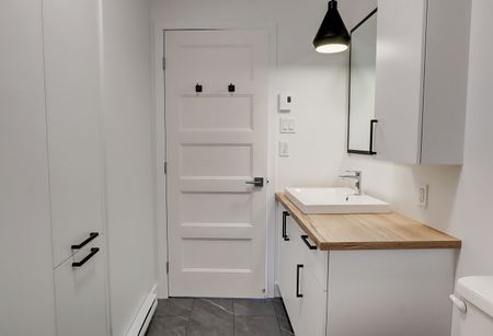 55, rue Michel-Robidoux #302, East-Angus - Photo 5