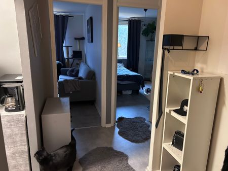 Drottninggatan 130, Helsingborg - Photo 3