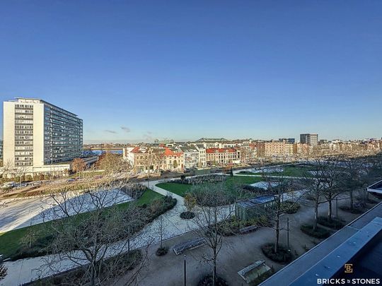 Penthouse met fenomenaal uitzicht over het park, de Vlaamse Kaai - Foto 1