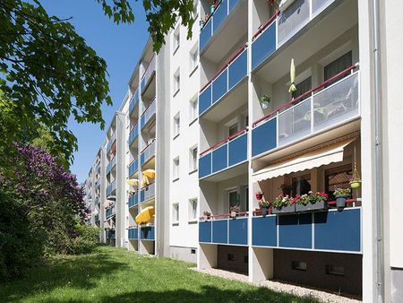 Haldenslebener Weg 9 - Harzer-Karree - Foto 4