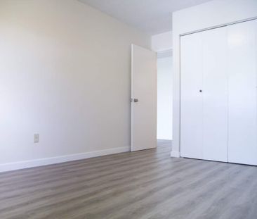 1 Bedroom - Renovated - Photo 4