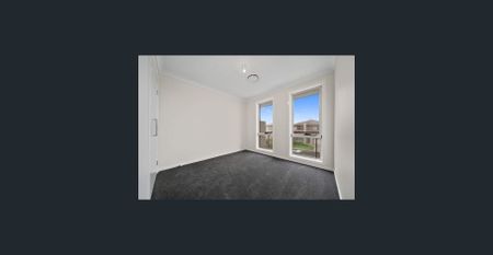 Near4 bedroom house for rent in Schofields - Photo 4