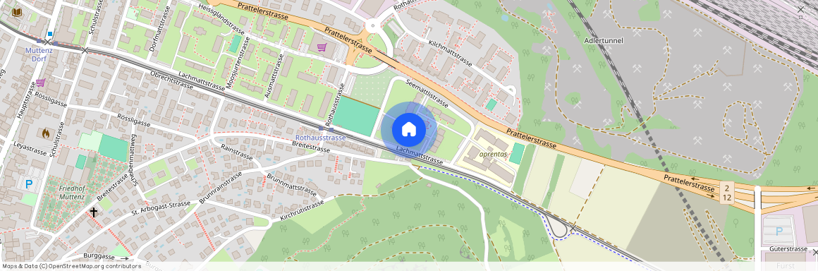 Lachmattstr, 69, 4132 Muttenz