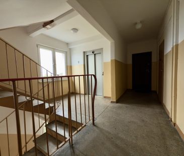 Mieszkanie Centrum Szczecin, nr 438489 - Photo 5