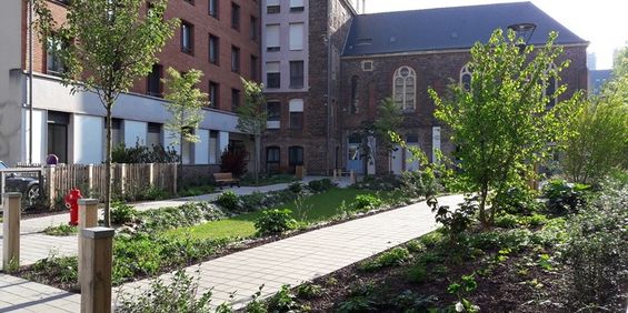 Studio – La Sagesse - Photo 3