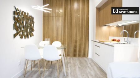 madrid, Community of Madrid 28008 - Photo 5