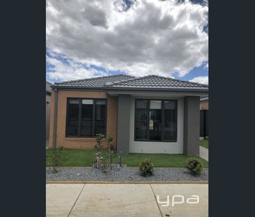 7 Olivetree Loop, Craigieburn, Vic 3064 - Photo 5