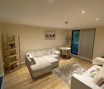 2 Bed Flat, Cornhill, L1 - Photo 2