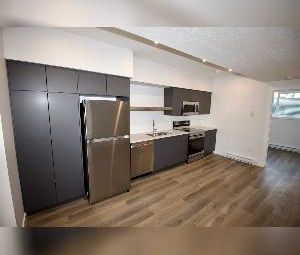 2 Bed 1 Bath Suite Ottewell Home For Rent Edmonton - Photo 3