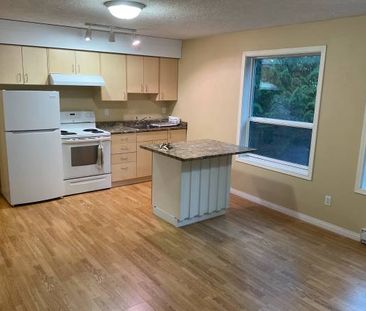 $2,100 (heat & hydro included) 2 bed + 1 bath Lower Suite - Photo 3