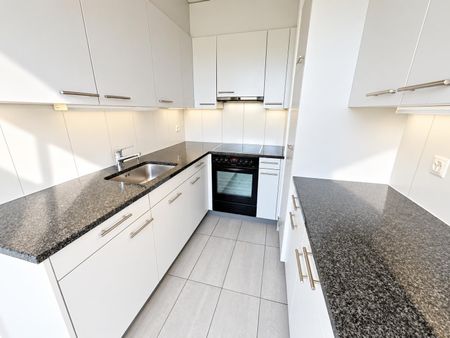 Lichtdurchflutete 2.0-Zi-Wohnung mit Weitblick im Hirzbrunnenquartier - Foto 4