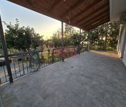 Μονοκατοικία για ενοικίαση - Πάτρα, - Photo 6