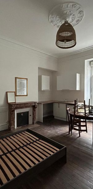 Location Appartement 1 pièce 25m² ANGERS 49100 - Photo 1