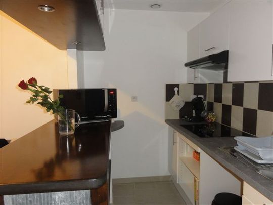 Location Appartement 1 pièce 26m² LE CREUSOT 71200 - Photo 1