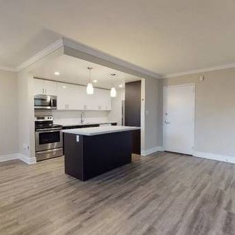 1 BEDROOM APARTMENT FOR RENT - DOWNTOWN BURLINGTON - Photo 3