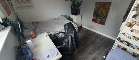 167 Richmond Road, Roath, Cardiff, CF24 3BT - Photo 4