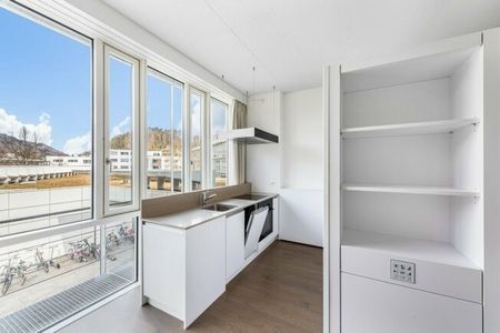 Living in Sihlhof 2 – Attention singles - Foto 4