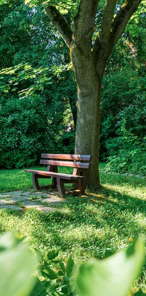 Eckersbacher Höhe 21 - Photo 1