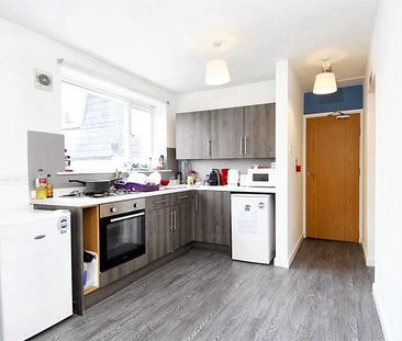 Hill Park Crescent, Flat 3, Plymouth - Photo 4