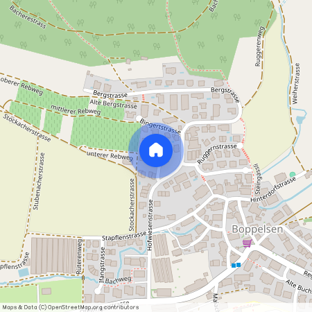 8113, Boppelsen, Hofwiesenstrasse, 45