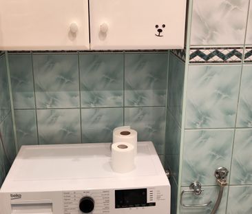 mazowieckie, Warszawa, Praga-Północ, Olszowa - Zdjęcie 5