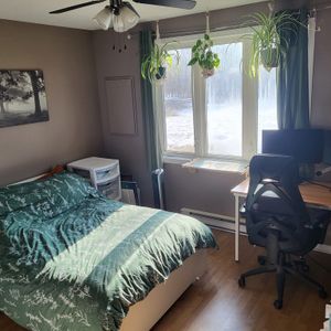 Appartement 1 Chambres à Louer - Photo 2