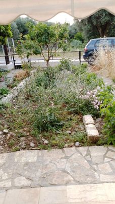 Διαμέρισμα για ενοικίαση Σελιανίτικα (Αιγιάλεια) - Photo 1