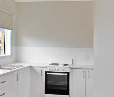 SPACIOUS ONE BEDROOM UNIT - Photo 2