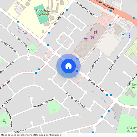 103A Johnson Road, Bass Hill, NSW 2197