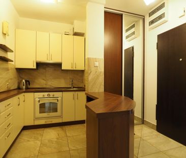 Łódź - Mieszkanie na wynajem - Photo 3