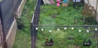 LE HAVRE - JENNER - SAINT-CECILE - Tramway à 2min - Photo 2