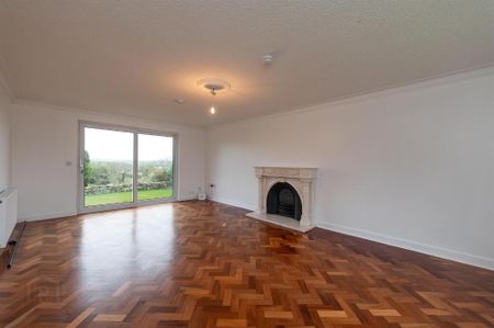 21 Scaddy Road, Downpatrick, BT30 9BW - Photo 2