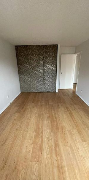 1 CH - 1 SDB - Côte Saint-Luc - $1,304 /mo - Photo 1