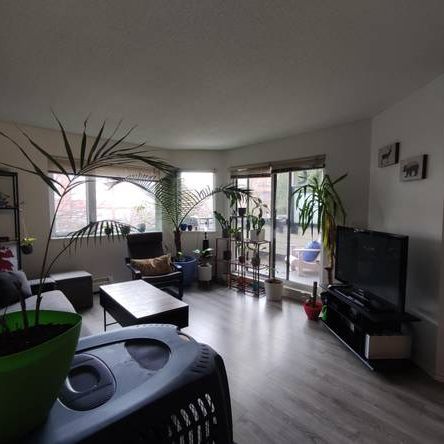 One Bedroom Apartment in the heart of Kitsilano - Photo 3