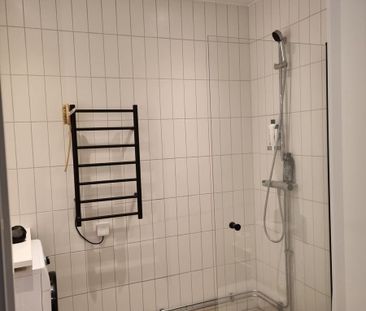 Gaffelseglet, Vega - Foto 4