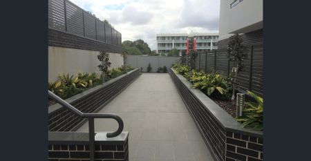 Villa Style North Facing Nearly New Two Bedder Apartment with Huge Private Courtyard!!! - Photo 4