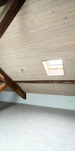 Location Appartement 1 pièce 37m² NANCY 54000 - Photo 3