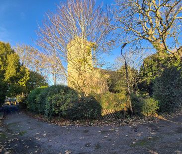 1 bedroom bungalow to rent - Photo 5