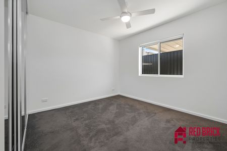 26 Toeplitz Street, Whitlam ACT 2611 - House For Rent | Domain - Photo 4