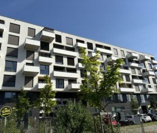 Frühlingserwachen - Foto 4